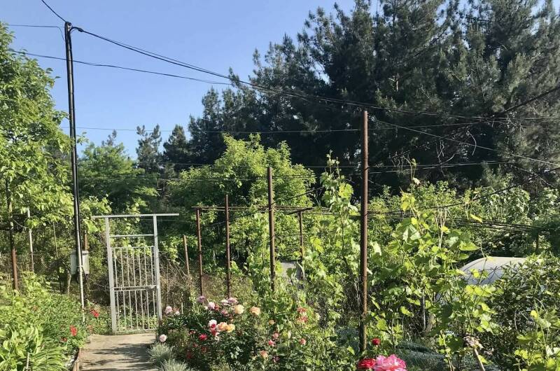 Изображение Изображение гостиницы &quot;Гостевой дом «Зара»&quot; #9 #7