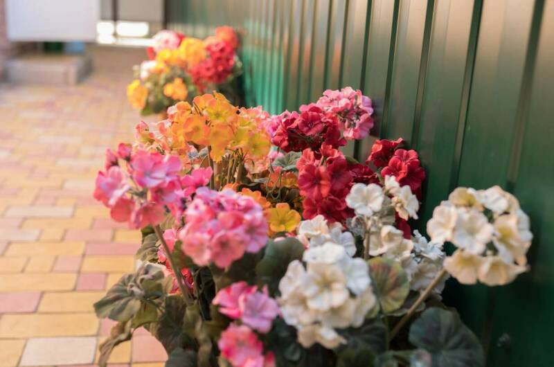 Изображение Изображение гостиницы &quot;Гостевой дом «Надежда»&quot; #7 #5