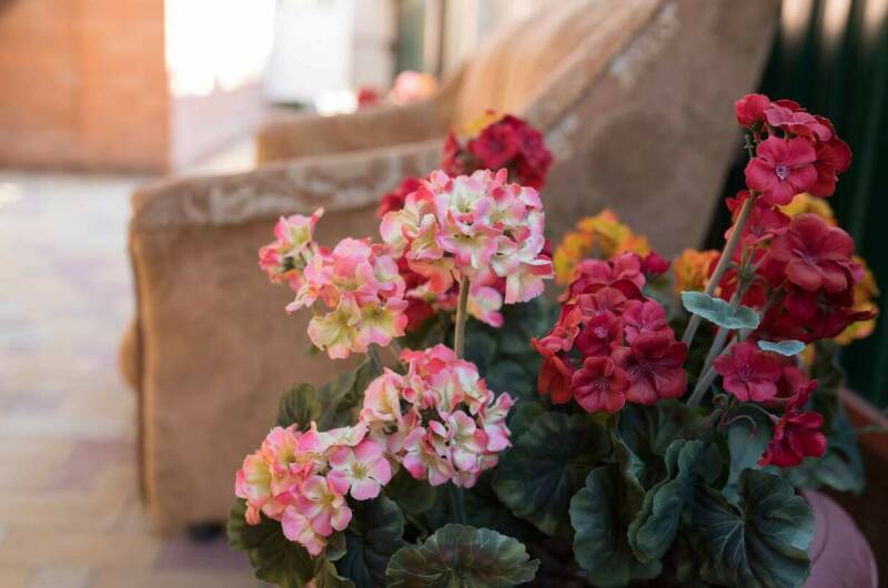 Изображение Изображение гостиницы &quot;Гостевой дом «Надежда»&quot; #8 #6