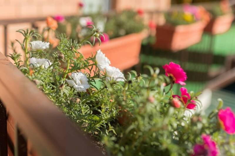 Изображение Изображение гостиницы &quot;Гостевой дом «Надежда»&quot; #10 #8