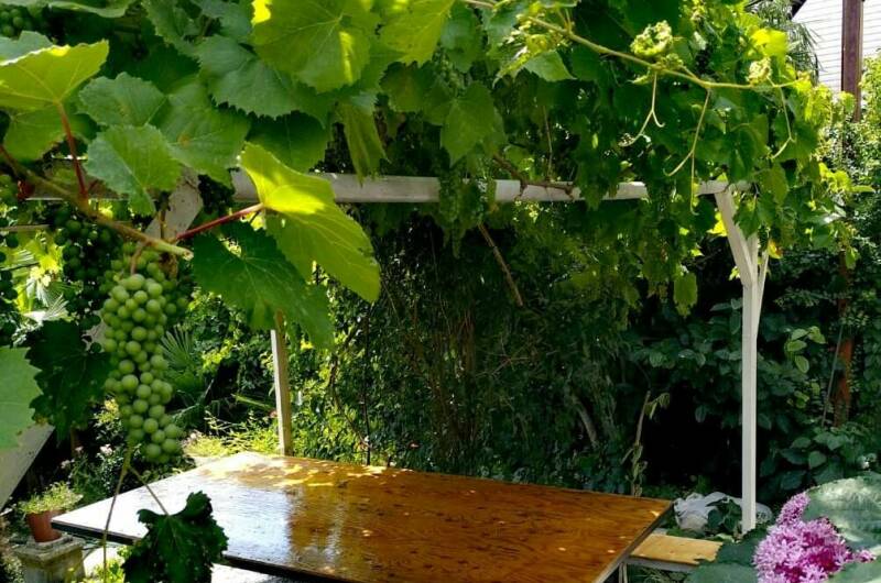 Изображение Изображение гостиницы &quot;Гостевой дом «Viktori»&quot; #6 #4