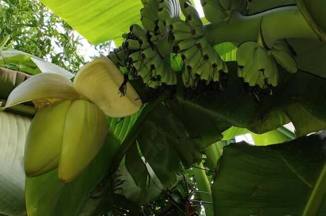 Изображение Изображение гостиницы &quot;Гостевой дом «Viktori»&quot; #7 #5