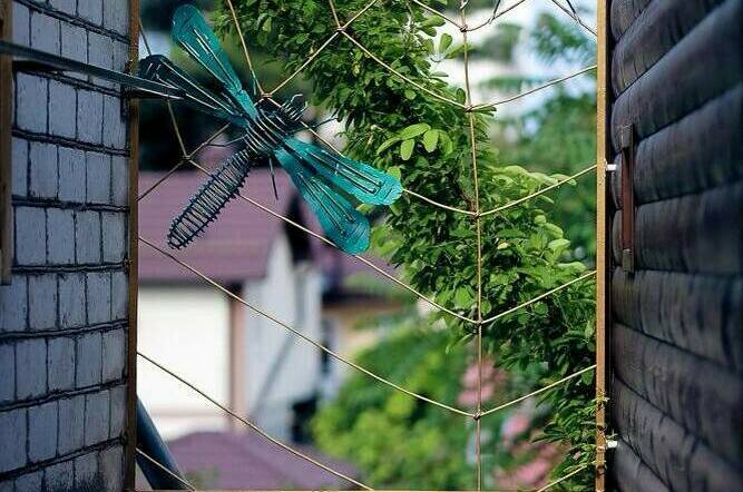 Изображение Изображение гостиницы &quot;Частный дом «Как дома»&quot; #5 #3