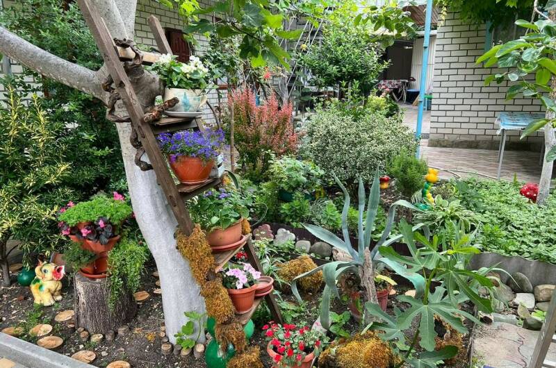 Изображение Изображение гостиницы &quot;Гостевой дом «Георгий»&quot; #3 #1