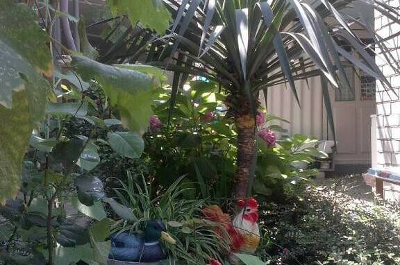 Изображение Изображение гостиницы &quot;Гостевой дом «Георгий»&quot; #6 #4