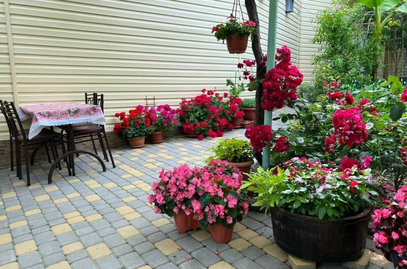 Изображение Изображение гостиницы &quot;Гостевой дом «Георгий»&quot; #7 #5