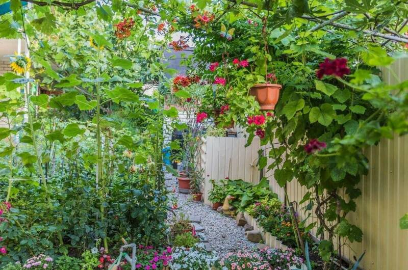 Изображение Изображение гостиницы &quot;Гостевой дом «Георгий»&quot; #8 #6