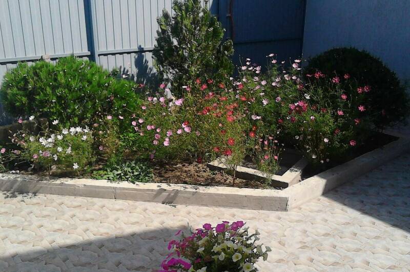 Изображение Изображение квартиры &quot;Этаж под ключ «У Захаровны»&quot; #8 #6