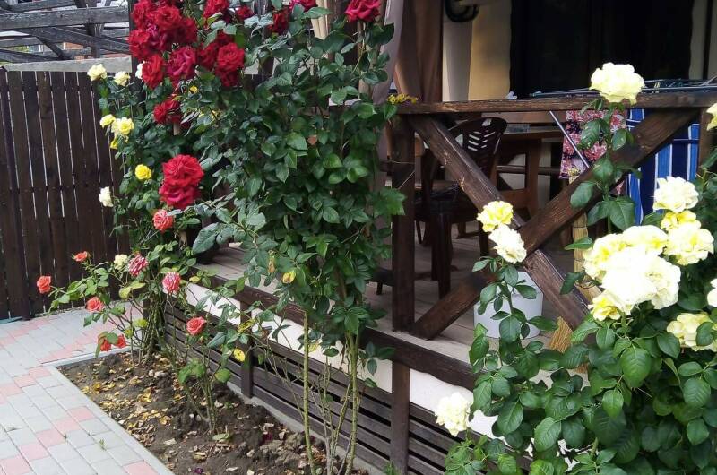 Изображение квартиры "Дом под ключ" #1