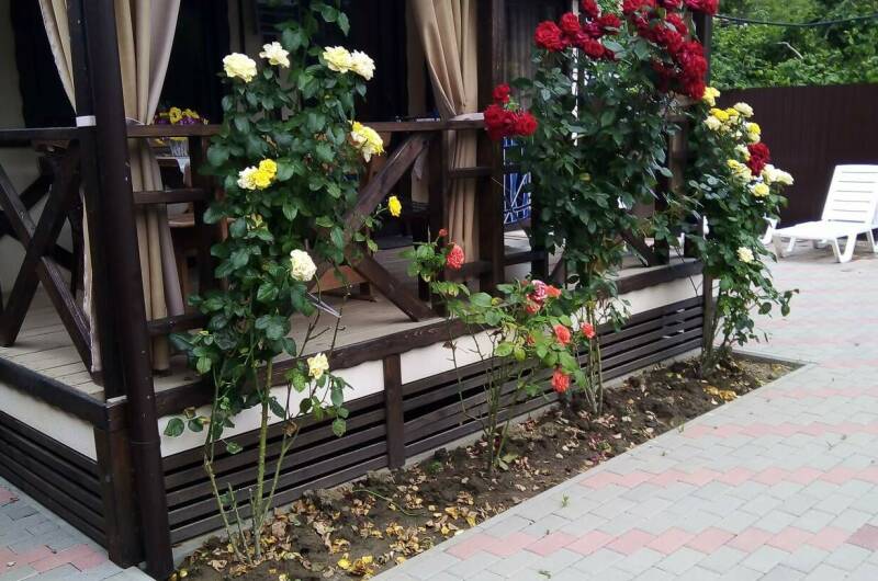 Изображение Изображение квартиры &quot;Дом под ключ&quot; #3 #1