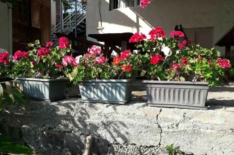 Изображение Изображение гостиницы &quot;Гостевой дом «У Артура»&quot; #3 #1