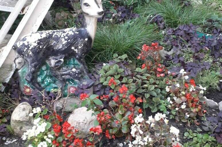 Изображение Изображение гостиницы &quot;Гостевой дом «У Артура»&quot; #4 #2