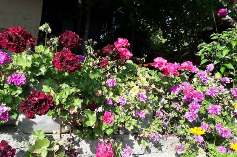 Изображение Изображение гостиницы &quot;Гостевой дом «У Артура»&quot; #7 #5