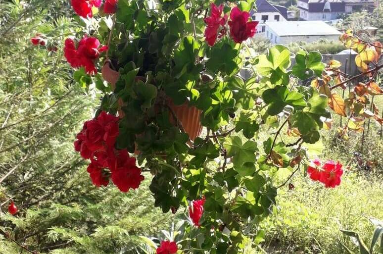 Изображение Изображение гостиницы &quot;Гостевой дом «У Артура»&quot; #9 #7