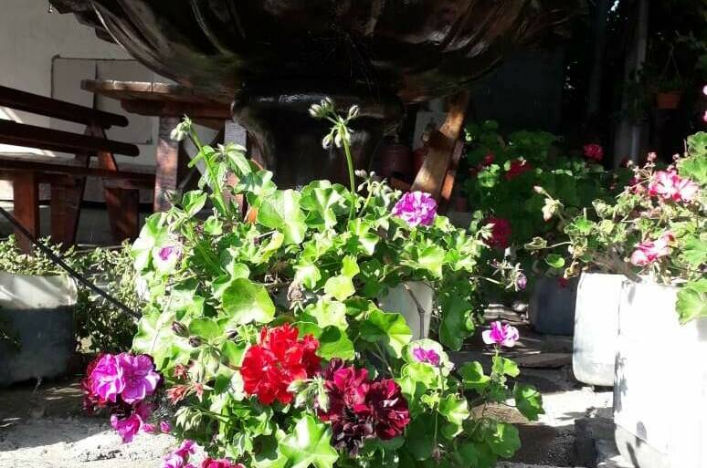 Изображение Изображение гостиницы &quot;Гостевой дом «У Артура»&quot; #11 #9