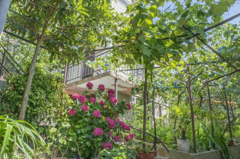 Изображение Изображение гостиницы &quot;Гостевой дом «ТепЛоо»&quot; #10 #8