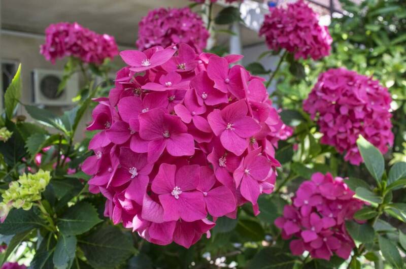 Изображение Изображение гостиницы &quot;Гостевой дом «ТепЛоо»&quot; #11 #9