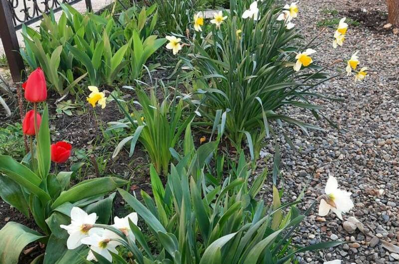 Изображение Изображение гостиницы &quot;Гостевой дом «Южный кипарис»&quot; #4 #2