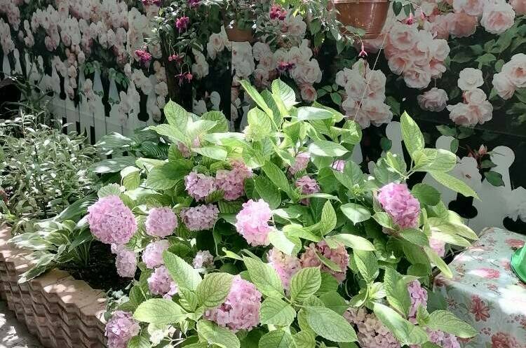 Изображение Изображение гостиницы &quot;Гостевой дом «На Тургенева»&quot; #5 #3