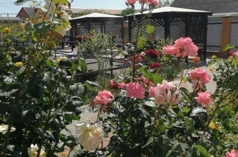 Изображение Изображение гостиницы &quot;Гостевой дом «Лазурный»&quot; #7 #5