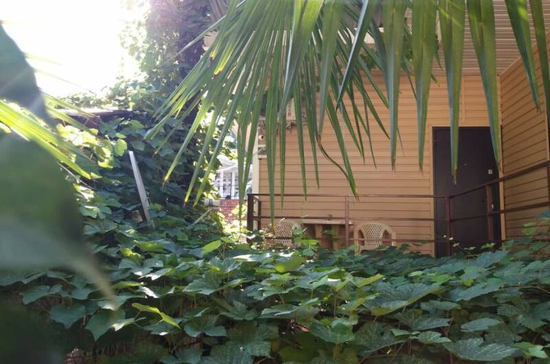 Изображение Изображение гостиницы &quot;Гостевой дом «Виноградный дворик»&quot; #3 #1