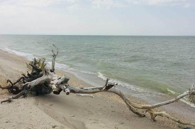 Изображение Изображение гостиницы &quot;Гостевой дом «Морской»&quot; #6 #4