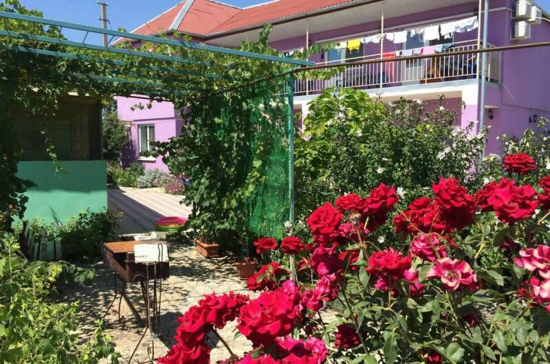 Изображение гостиницы "Гостевой дом «Фортуна»" #1