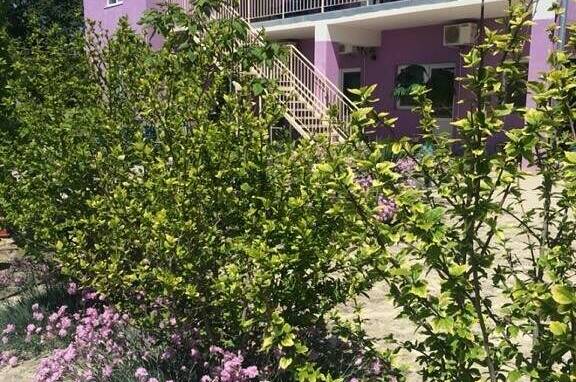 Изображение Изображение гостиницы &quot;Гостевой дом «Фортуна»&quot; #3 #1