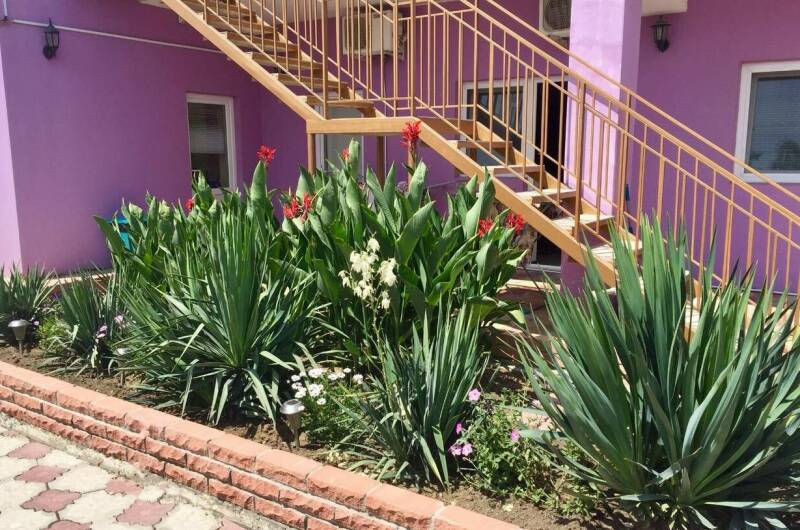 Изображение Изображение гостиницы &quot;Гостевой дом «Фортуна»&quot; #8 #6