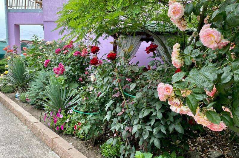 Изображение Изображение гостиницы &quot;Гостевой дом «Фортуна»&quot; #9 #7