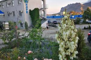 Изображение отеля / гостиницы "База отдыха «Андре»"