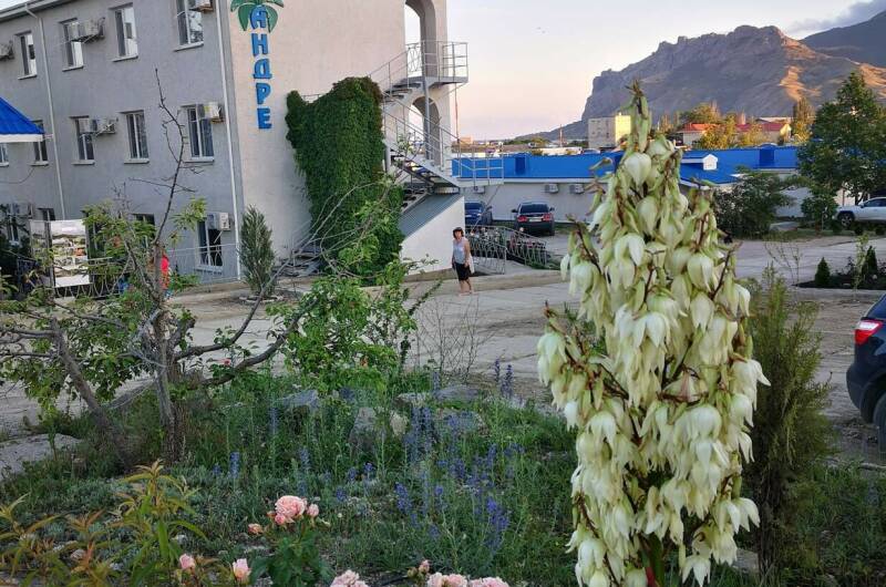 Изображение гостиницы "База отдыха «Андре»" #1