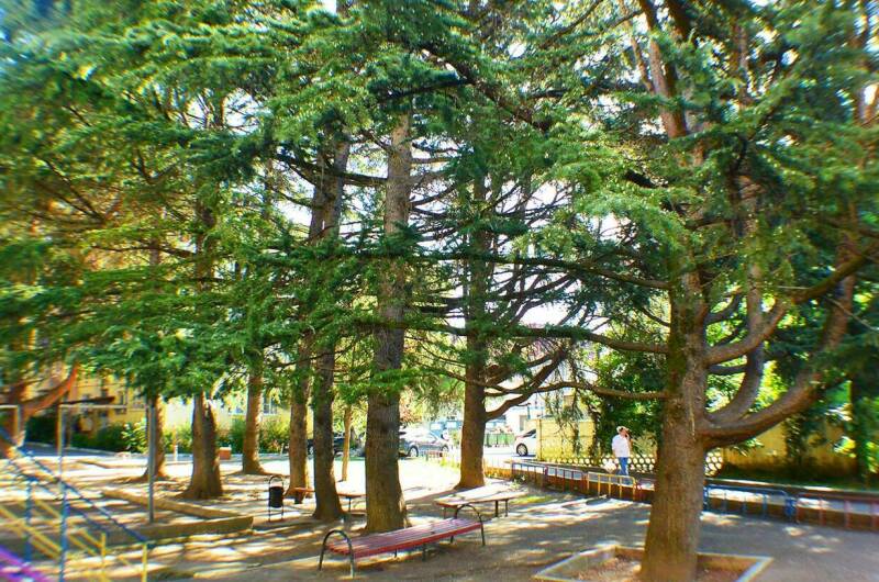 Изображение Изображение квартиры &quot;Студия в центре&quot; #5 #3