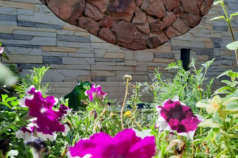 Изображение Изображение гостиницы &quot;Гостевой дом «У Зои Николаевны»&quot; #8 #6