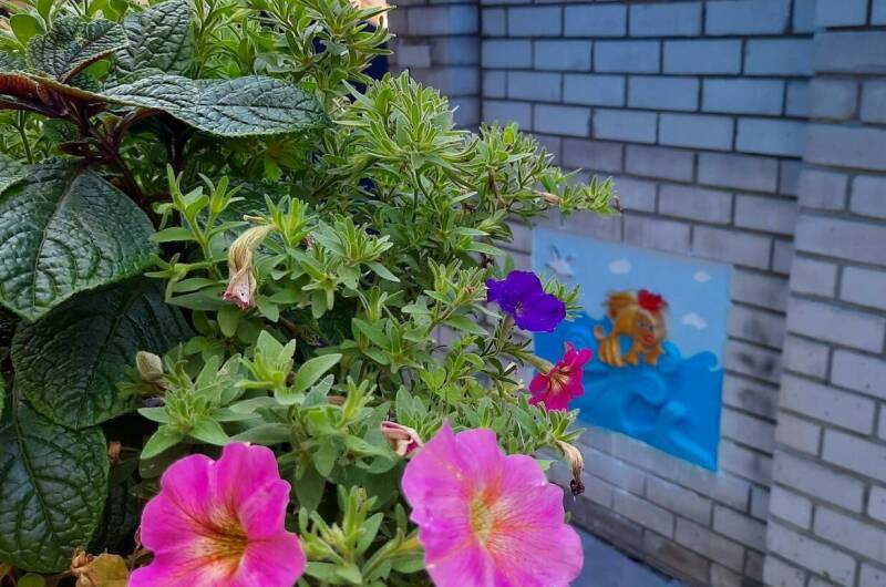 Изображение Изображение гостиницы &quot;Гостевой дом «У Зои Николаевны»&quot; #10 #8