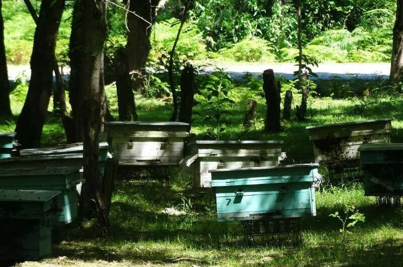 Изображение Изображение гостиницы &quot;Гостевой дом «У Азы»&quot; #3 #1