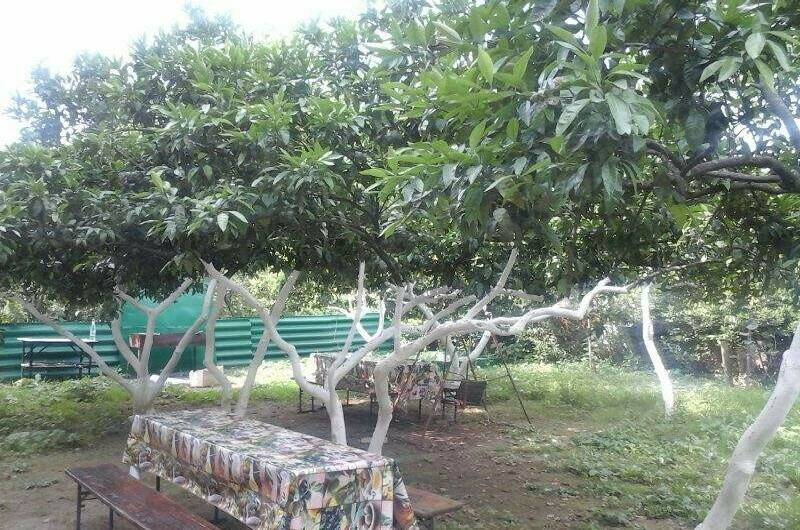 Изображение Изображение гостиницы &quot;Гостевой дом «У Азы»&quot; #9 #7