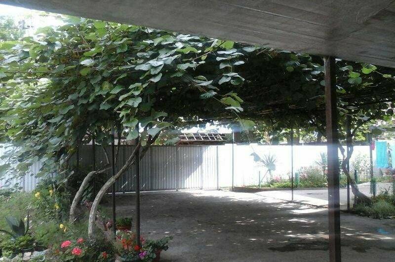 Изображение Изображение гостиницы &quot;Гостевой дом «У Азы»&quot; #11 #9