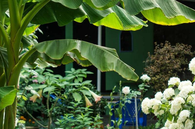 Изображение Изображение гостиницы &quot;Частный сектор «У моря»&quot; #6 #4