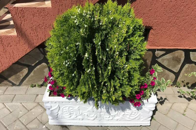 Изображение Изображение гостиницы &quot;Отель «Пекан»&quot; #8 #6