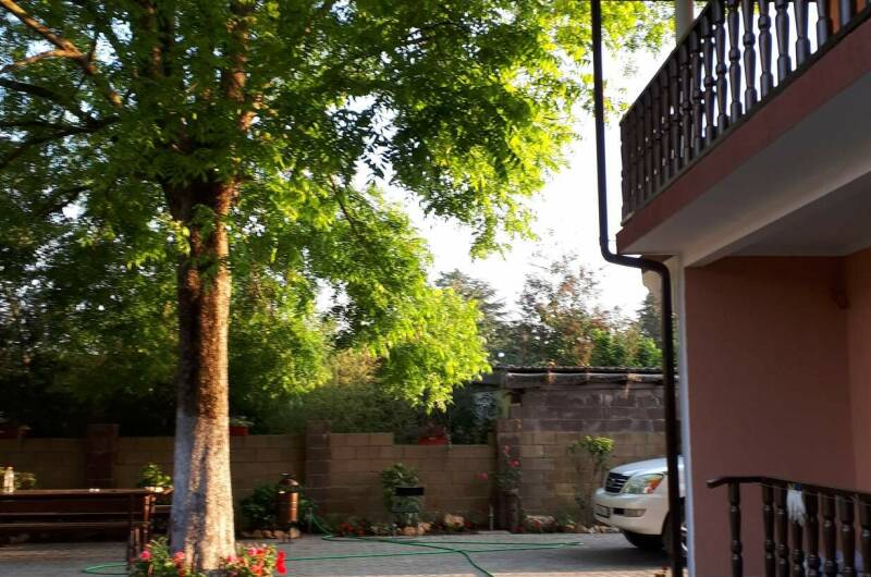 Изображение Изображение гостиницы &quot;Отель «Пекан»&quot; #10 #8