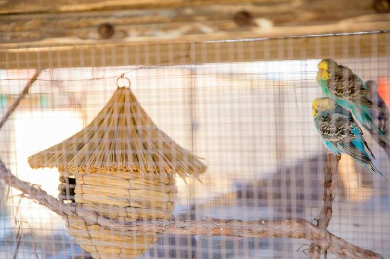 Изображение Изображение гостиницы &quot;Гостевой дом «Rose Manor»&quot; #8 #6