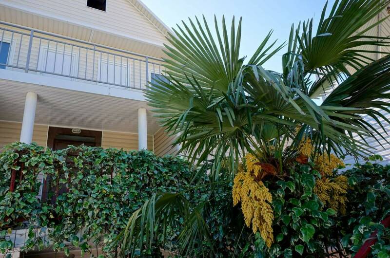 Изображение Изображение гостиницы &quot;Гостевой дом «Морской бриз»&quot; #5 #3