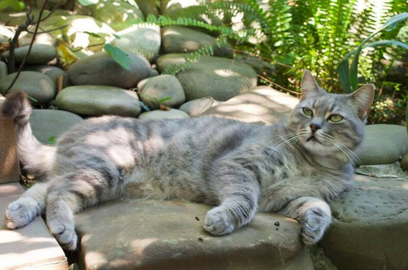 Изображение Изображение гостиницы &quot;Гостевой дом «Морской бриз»&quot; #11 #9