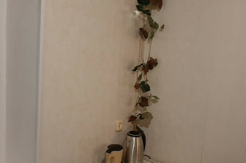 Изображение Изображение квартиры &quot;Однокомнатная квартира на берегу моря&quot; #9 #7