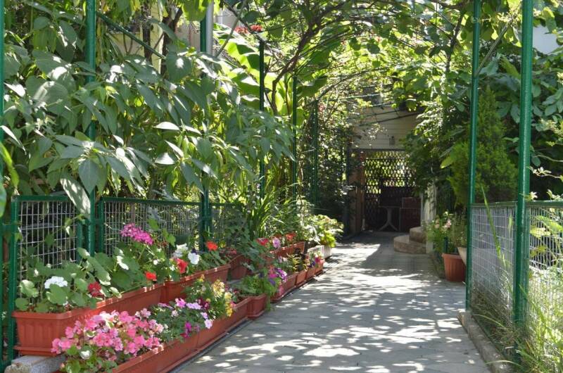 Изображение Изображение гостиницы &quot;Гостевой дом «Азалия»&quot; #4 #2