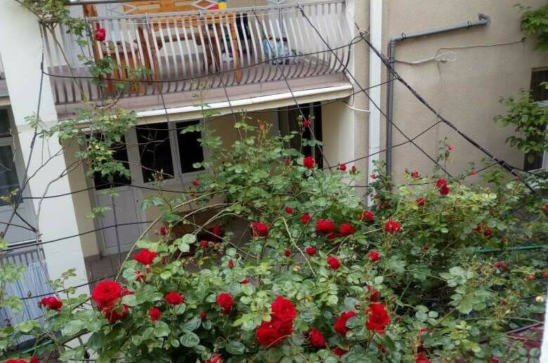 Изображение Изображение гостиницы &quot;Гостевой дом «Азалия»&quot; #9 #7