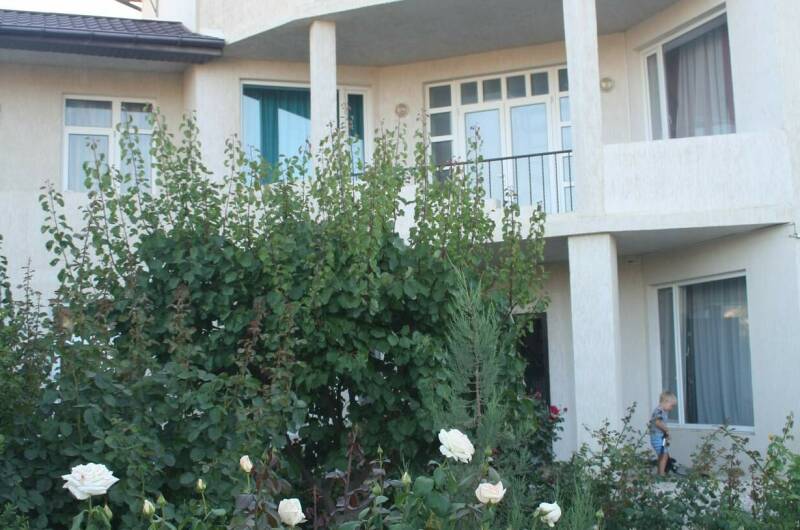 Изображение Изображение гостиницы &quot;Гостевой дом «Крымские каникулы»&quot; #7 #5