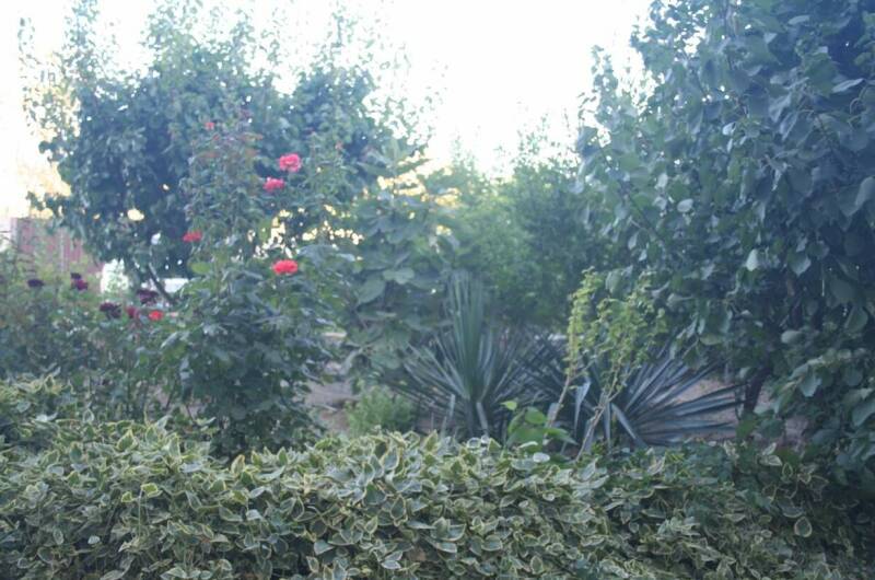 Изображение Изображение гостиницы &quot;Гостевой дом «Крымские каникулы»&quot; #8 #6