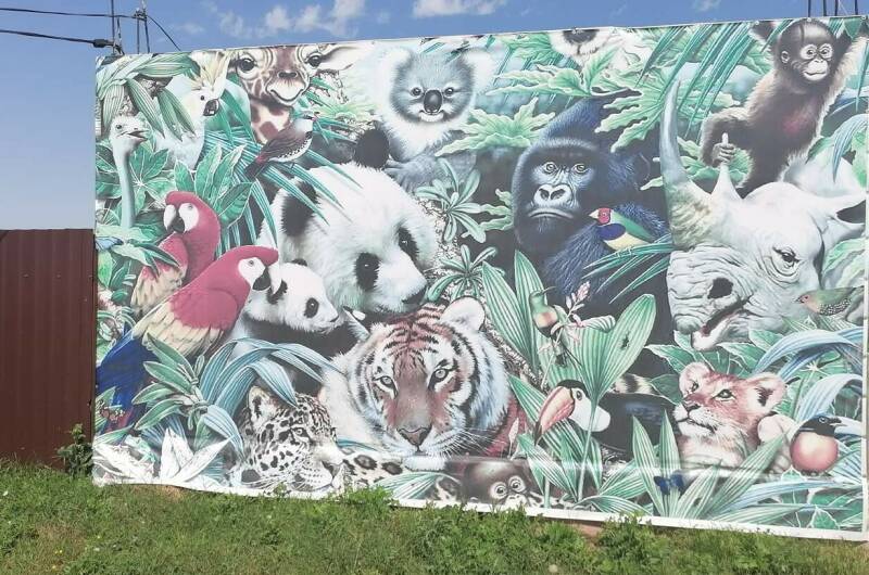 Изображение Изображение гостиницы &quot;Комплекс домиков «Jungle Park»&quot; #3 #1